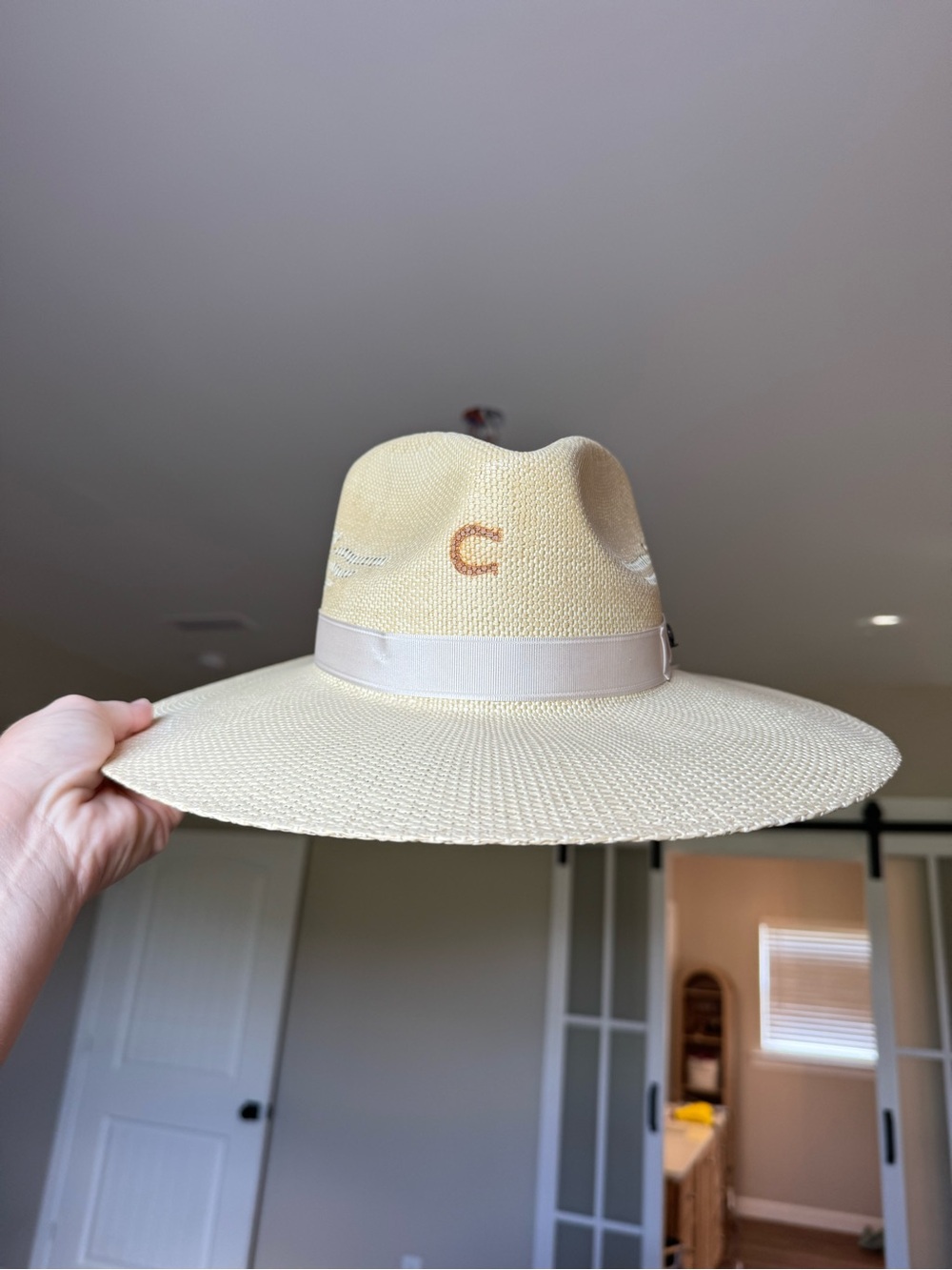 Charlie 1 horse Wide-Brim Straw Hat in Cream with Neutral Band